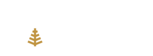 Picture of SSGI Benefits